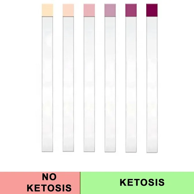 Фото FAVOURIE URS-1K Тест-полоски для кетонов Кето-диета и кетогенное измерение №3