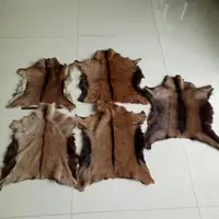 5pcs Natural Tanned Sheep Skin Antelope Fur Goat Hide Rug Animal Skin Pelt Rug Home Decor Fur Plush Clothing Bag Accessory