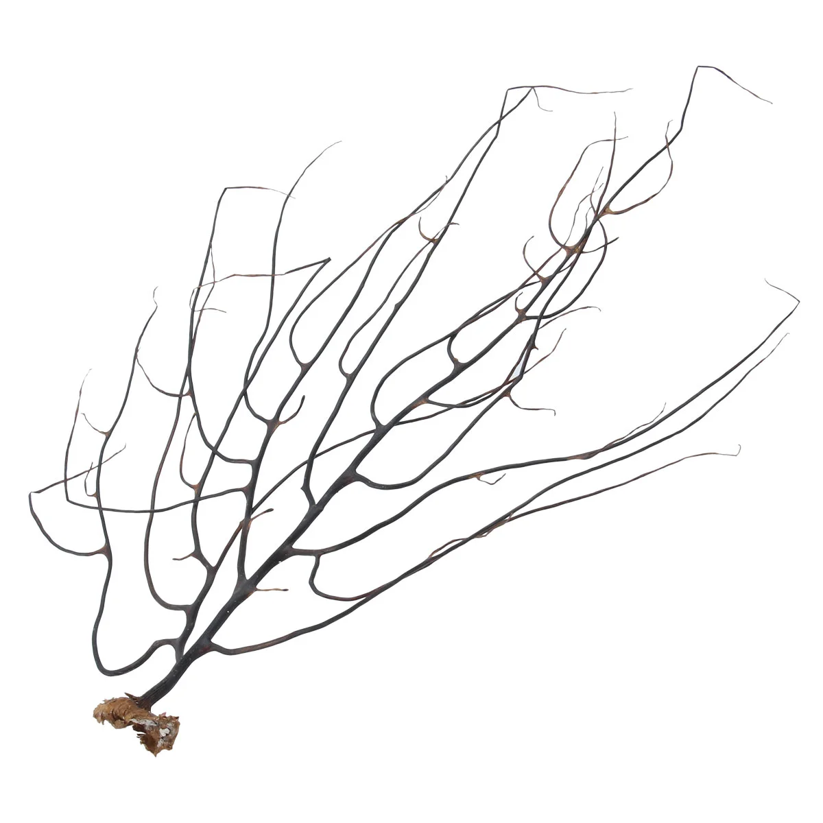 

Coral Sea Aquarium Fan Decor Fish Tank Decorationsornament Artificial Decoration Simulation Accessories Black Natural Fansplant