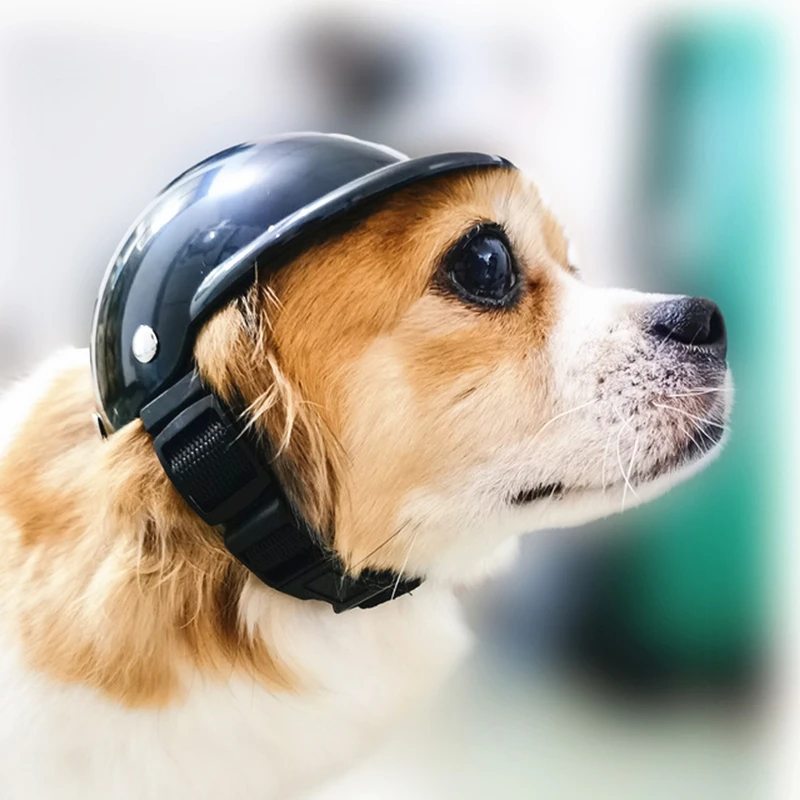 

2022 New Pet Hat Dog Helmet Cycling Motorcycle Hat Motorcycle Hat for Dog Dog Accessories Dog Hat Cat Hat