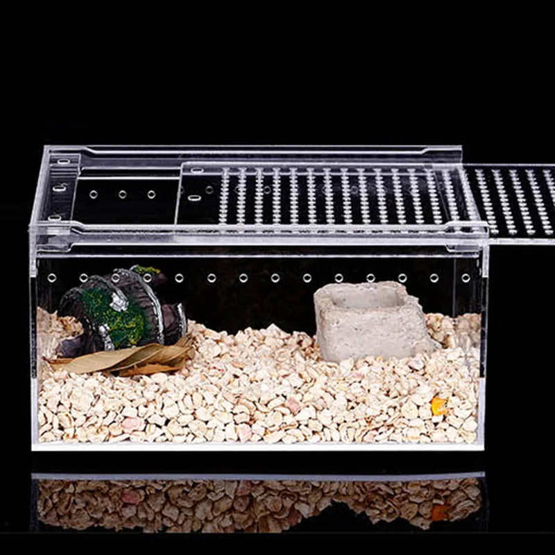 

Transparent Acrylic Feeding Box Insect Rectangle Home Decoration Nest Mini Feeding Box Spider Mascotas Ecologico Acrylic Pet Box