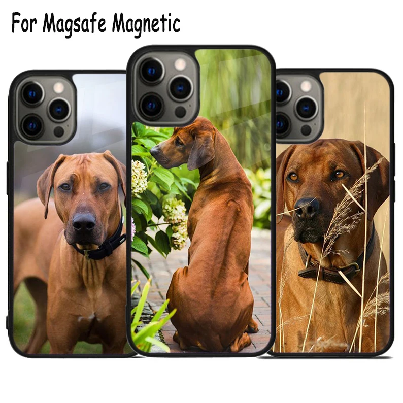 Чехол для телефона с беспроводным зарядным устройством iPhone 15 16 14 13 11 12 Pro Max Plus