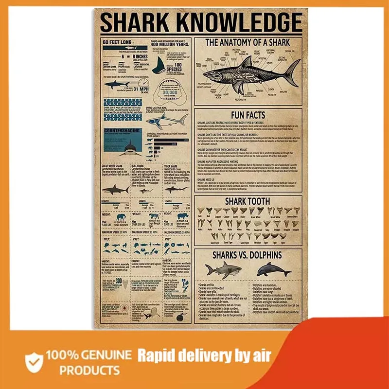 

Shark Knowledge Metal Tin Signs The Anatomy Of A Shark Printing Vertical Poster Bedroom Bathroom School Shop Living Room