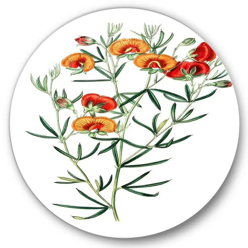 

'Ancient American Flora VIII' Traditional Circle Metal Wall Art 36x36 - Disc of 36