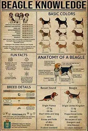 

Metal Sign Knowledge Poster Beagle Tin Signs New Year Easter Wall Decoration Bar Pub Family Cafe SignsGifts for Friends Family