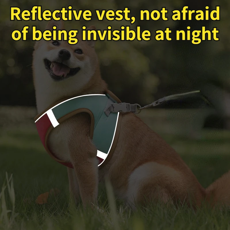 Жилет для домашних животных Воздухопроницаемый светящийся шнурок на грудь кошек
