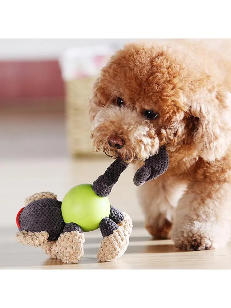 

Pet Toys Interactive Molar Bite Resistant Sounding Rubber Ball Cotton Plush Toys Pet Supplies