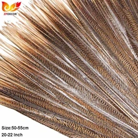 zpdecor 20 22 inch 50 55cm golden pheasant feathers for wedding decoration