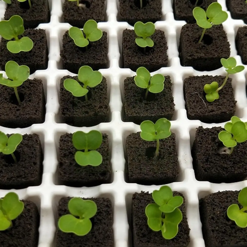 

20pcs Soilless Hydroponic Sponge Planting Gardening Breathable Seedling Planting Tools Moisturizing Tools Basket I0N6