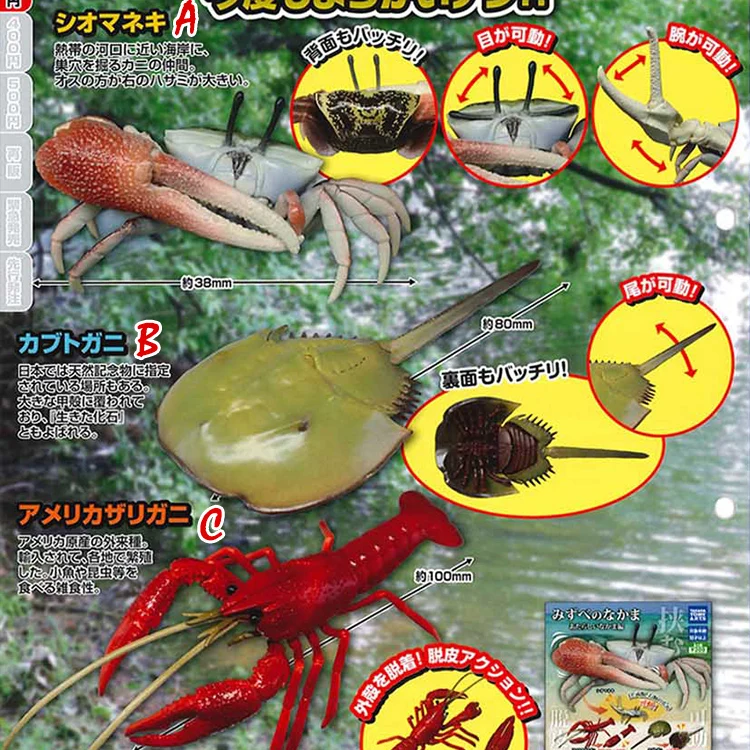 

Игрушка-капсула TOMY Gachapon, биологическая Фигурка краба из ракушек, подкова-краб, краб-Подкова