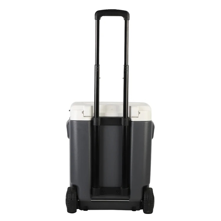 Complete in Specifications Medan Mini Fridge Rv Caravan Portable 12v Refrigerator Dc12/24v Input Mobile Cooler Box