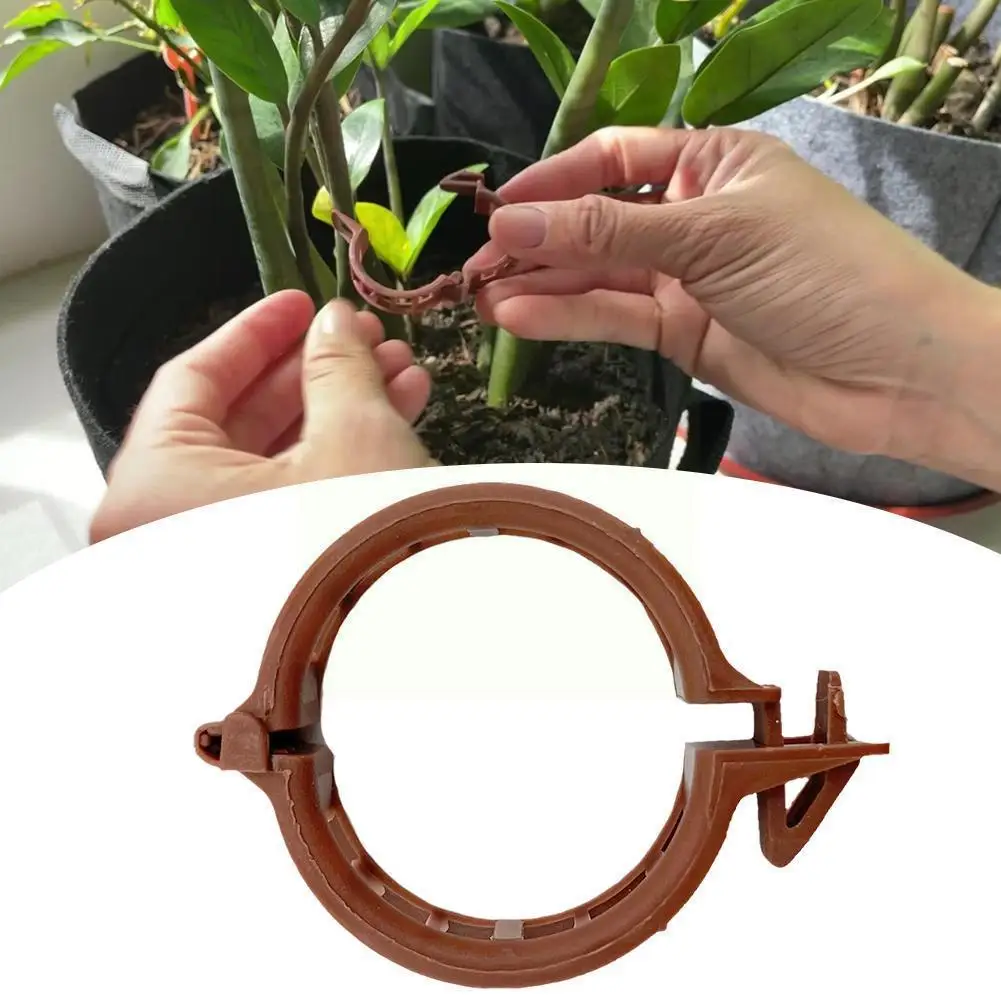 

Набор зажимов для сада, 100 шт., зажимы для выращивания томатов в теплице