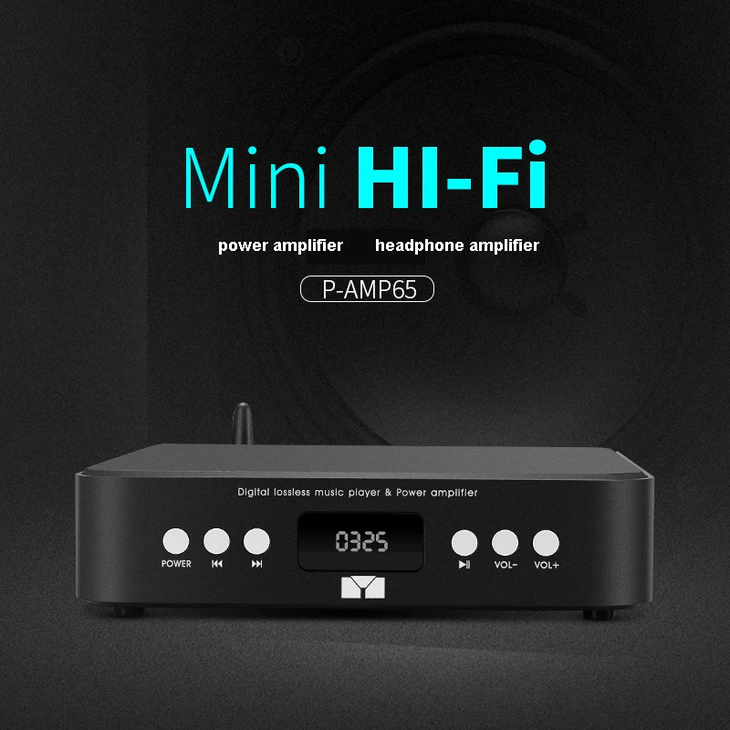 DLHiFi U-диск без потерь Bluetooth 5 0 Flac Ape музыкальный плеер AMP DAC 2-in-1 50Wx2 Hi-Fi аудио