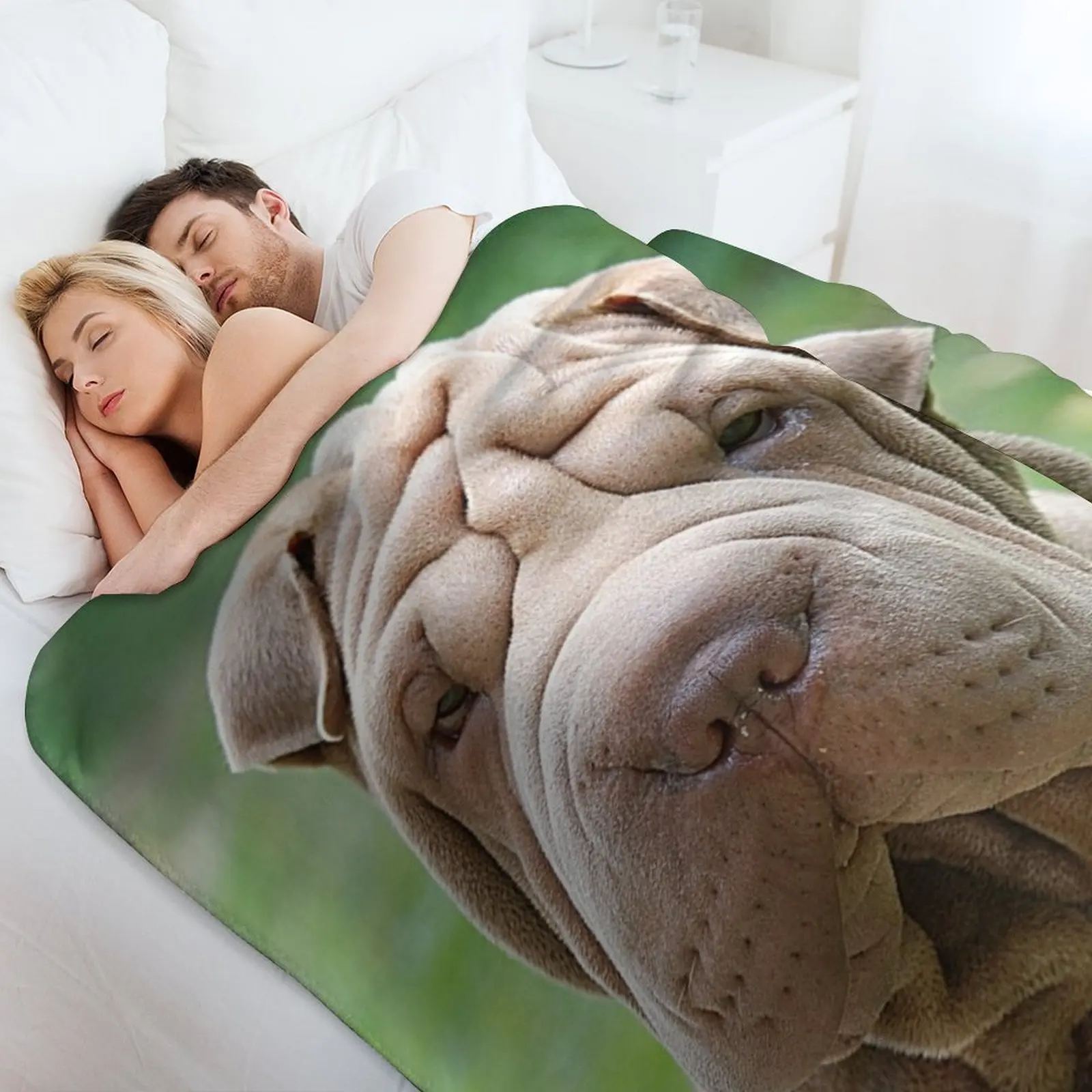 Фото Плед Shar-Pei, устойчивый к сминанию, легкий плед №4