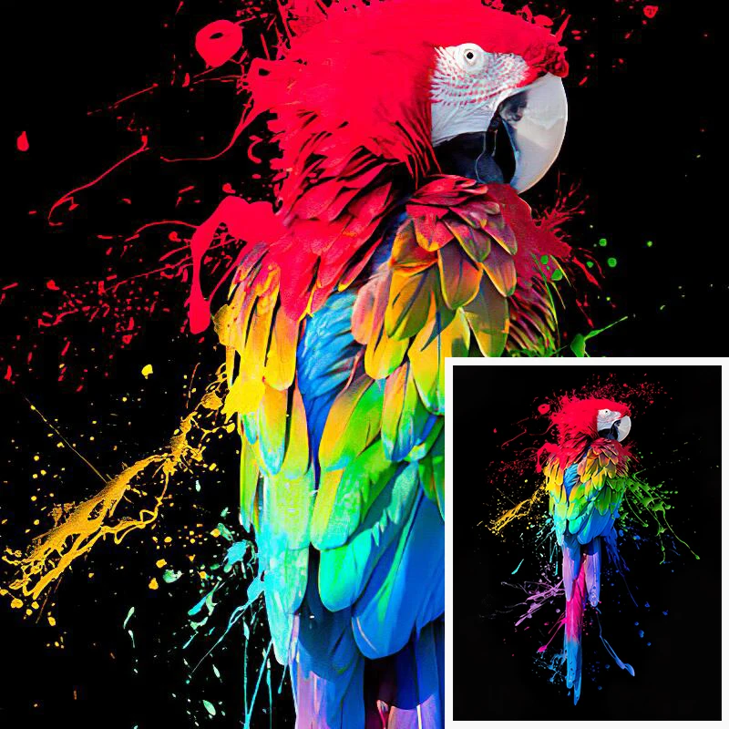 Красивый попугай птица граффити Искусство Холст Живопись Красочные животные