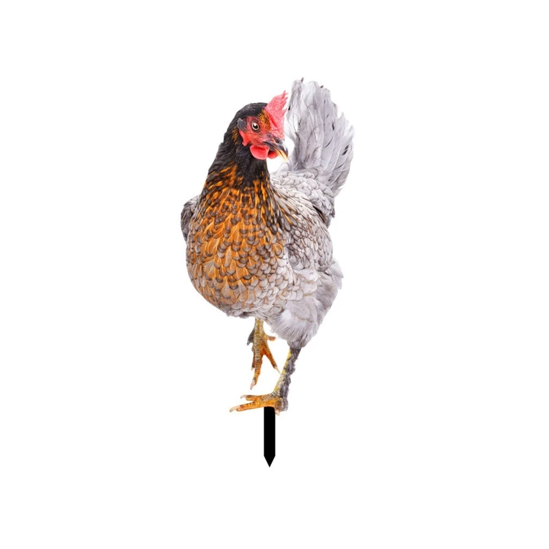 

Garden Hen Stake Set of 3 Lawn Courtyard Decorative Statue Sculpture Patio Yard Acrylic Chicken Stakes Outdoor Art Decor A0KF