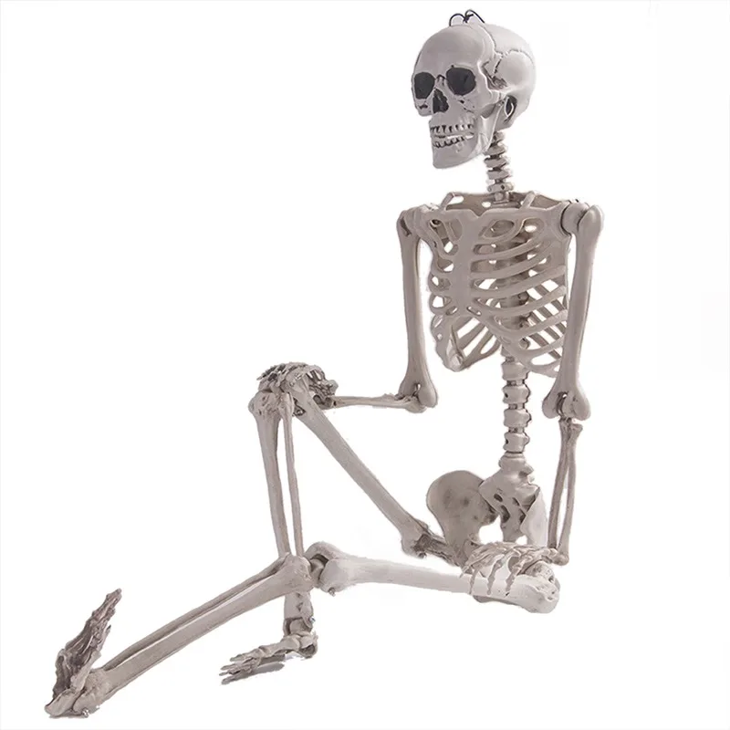 Подвижный скелет для Хэллоуина 90 см поддельные человеческие кости черепа