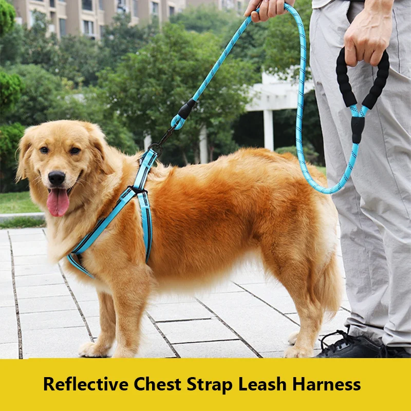 

Dog Harness and Leash Set Dog Reflective Traction Rope Multi-color Round Ropechain Pull Comfortable Handle Chest Back Belt