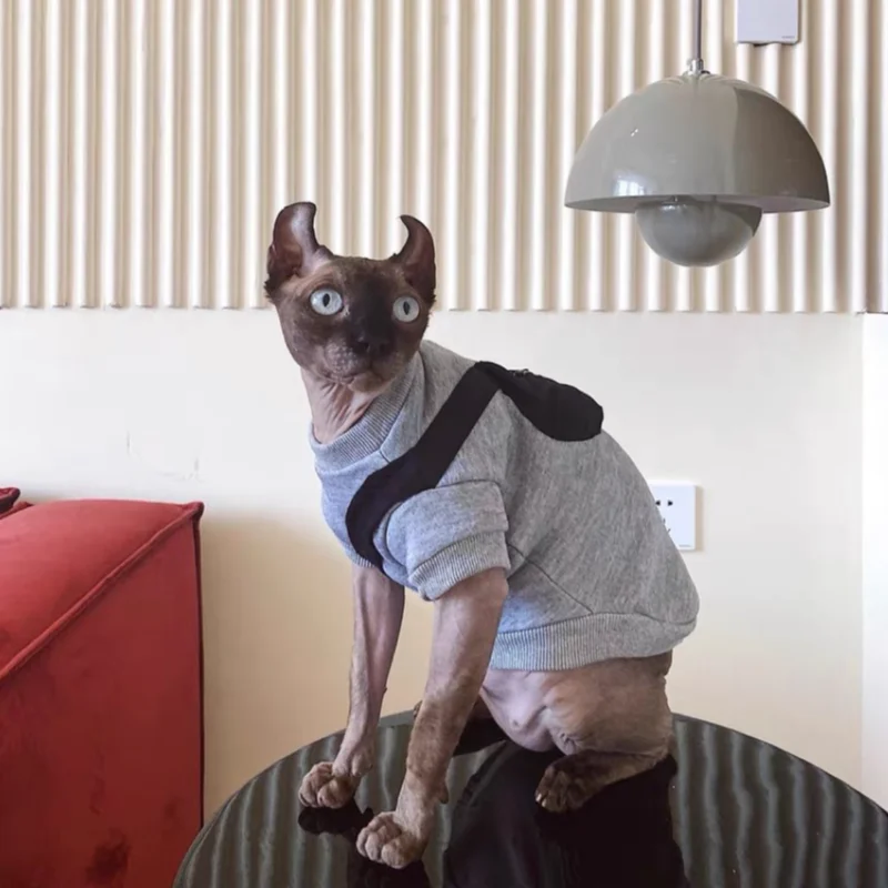 

Sphynx German Clothes Hairless Cat Sphinx Cotton Autumn Winter Extra Thick Fleece Warm Hoodie