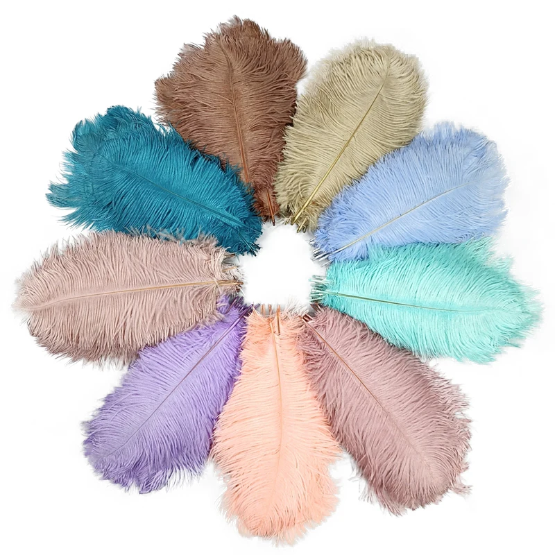 

Colored Ostrich Feathers 15-20 CM Decoration for Crafts Wedding Party Dress Clothing Sewing Needlework Craft Plume 10Pcs/Pack