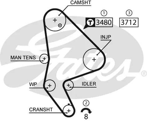 

5590XS for timing belt (143 ×) BOXER 2.2HDI 8V (01 06) JUMPER 2.2HDI 8V (02 06) JUMPER 2.2HDI 8V (02 06)