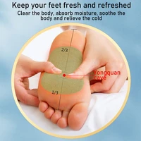 detoxify toxins chinese medicine health care detox paste patches weight loss patch wormwood foot pads foot sticker