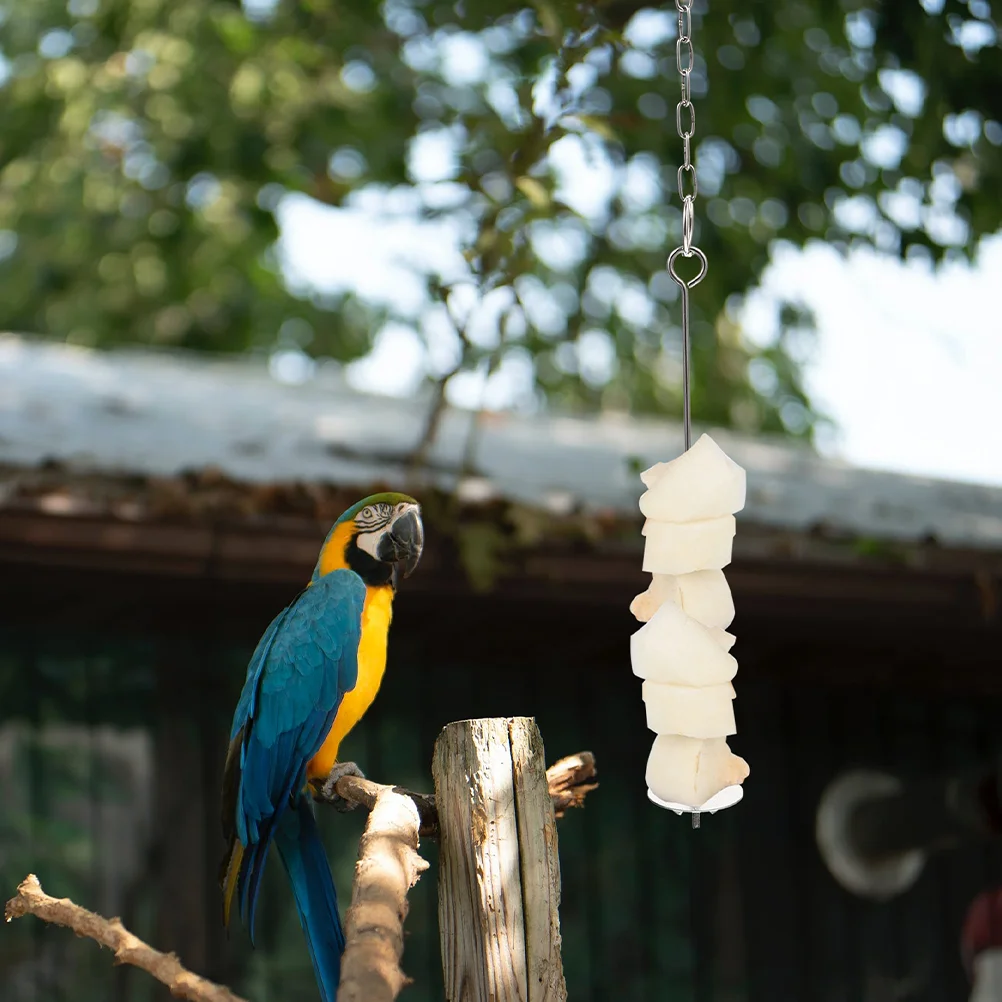 Outside Parrot Holder Feeders Hanging