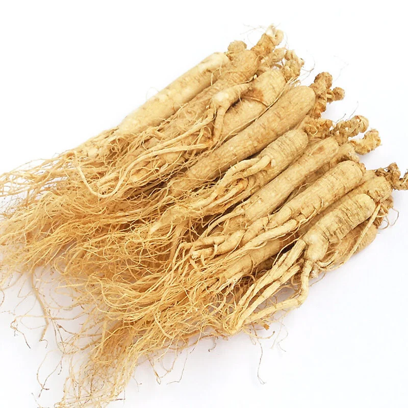 

White Ginseng Root ,Panax Ginseng Root,China Herbal 8 Years Roots