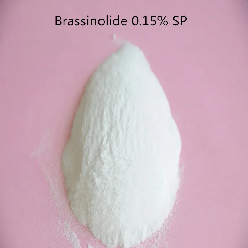 

1KG water soluble Brassinolide 0.15%SP /Natural Brassinolide C28H48O6 CAS 72962-43-7 plant nutrition rooting high quality