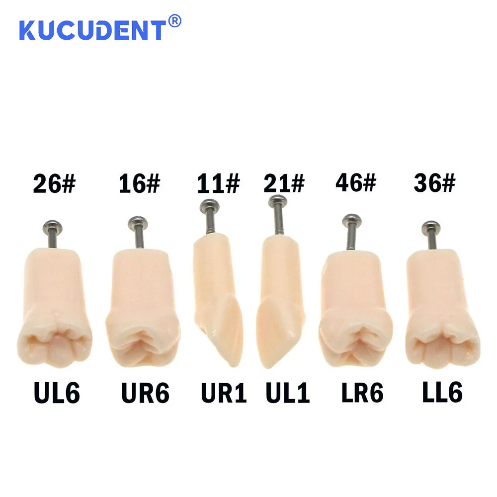 KUCUDENT сменные ввинчивающиеся зубы для Kilgore NISSIN