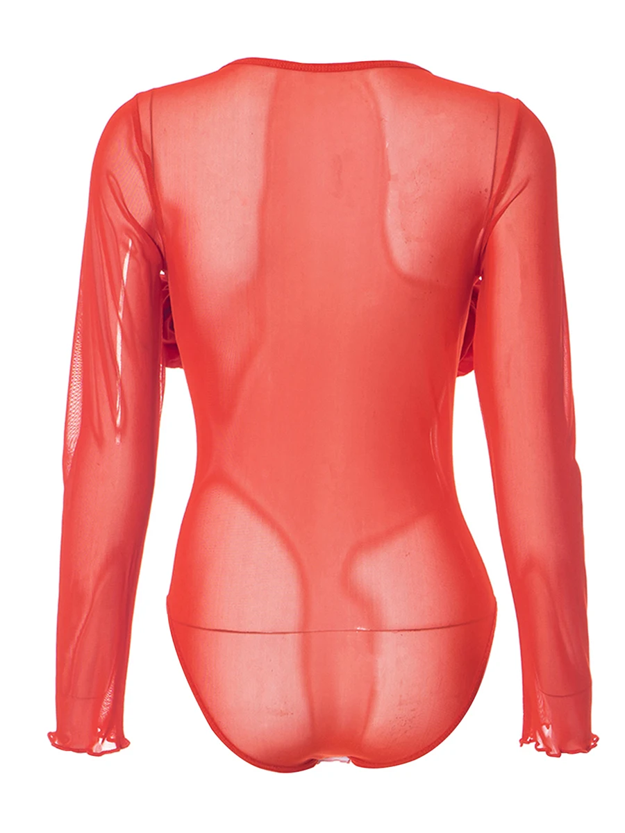 

Women Long Sleeve Bodysuit Mesh Sheer 3D Flower Hollowed Solid Color Slim Fit Fall Romper Clubwear