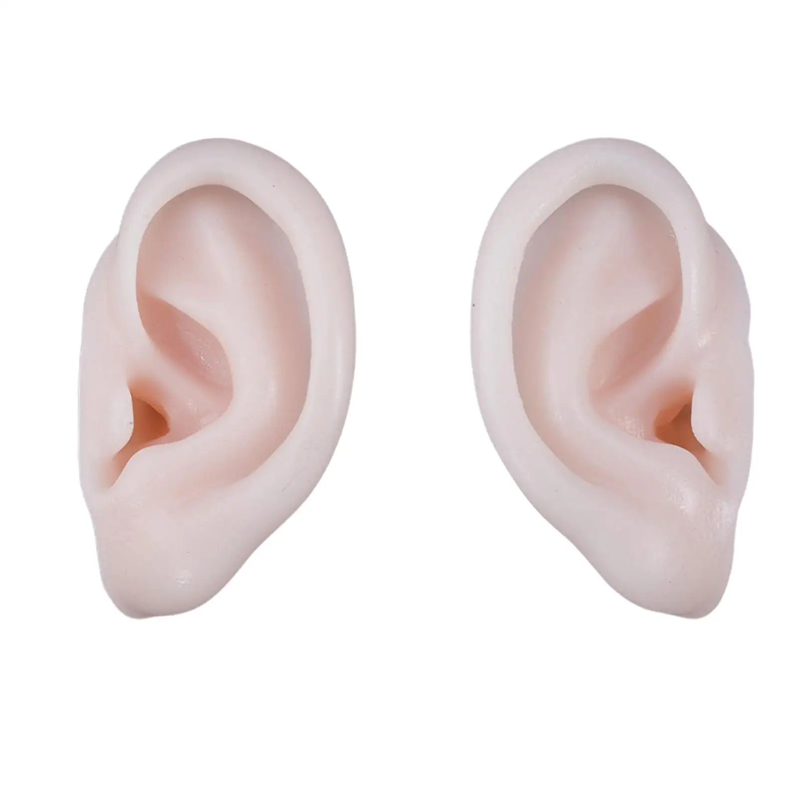 

Гибкие Обучающие инструменты из силикона в натуральную величину 1:1 для обучения