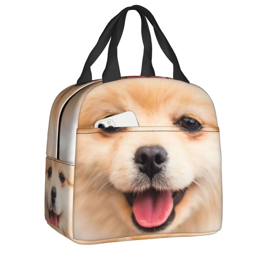 

Cute Golden Pomeranian Dog Insulated Lunch Bag for Camping Travel Puppies Lover Gifts Cooler Thermal Lunch Box Women Kids