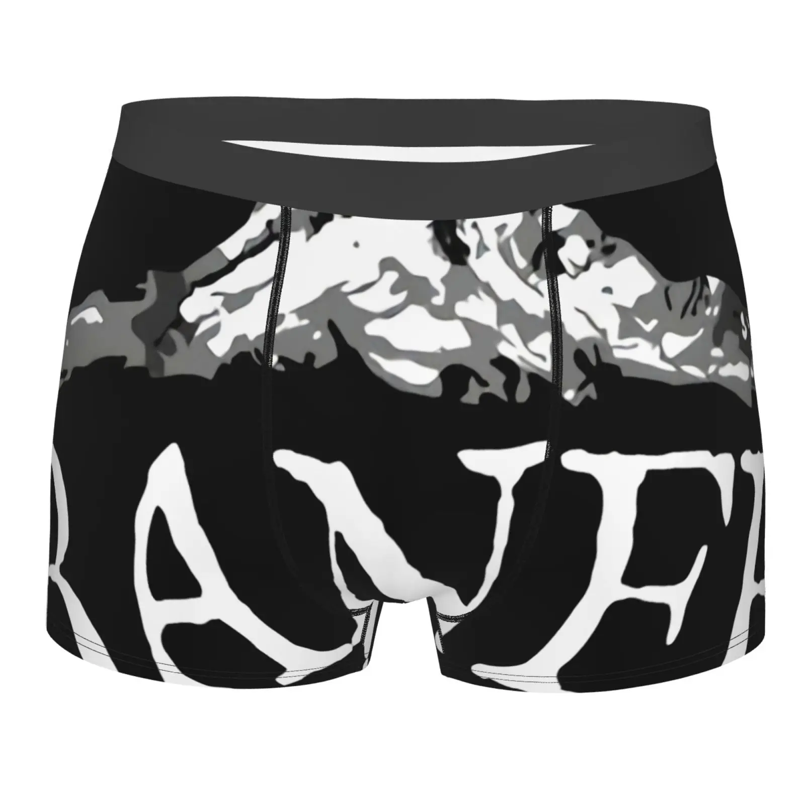 

Трусы-боксеры banffальберта, Канада, горный город, металлические трусы с карманом для поддержки, Полиэстеровые трусы, мужское нижнее белье для...