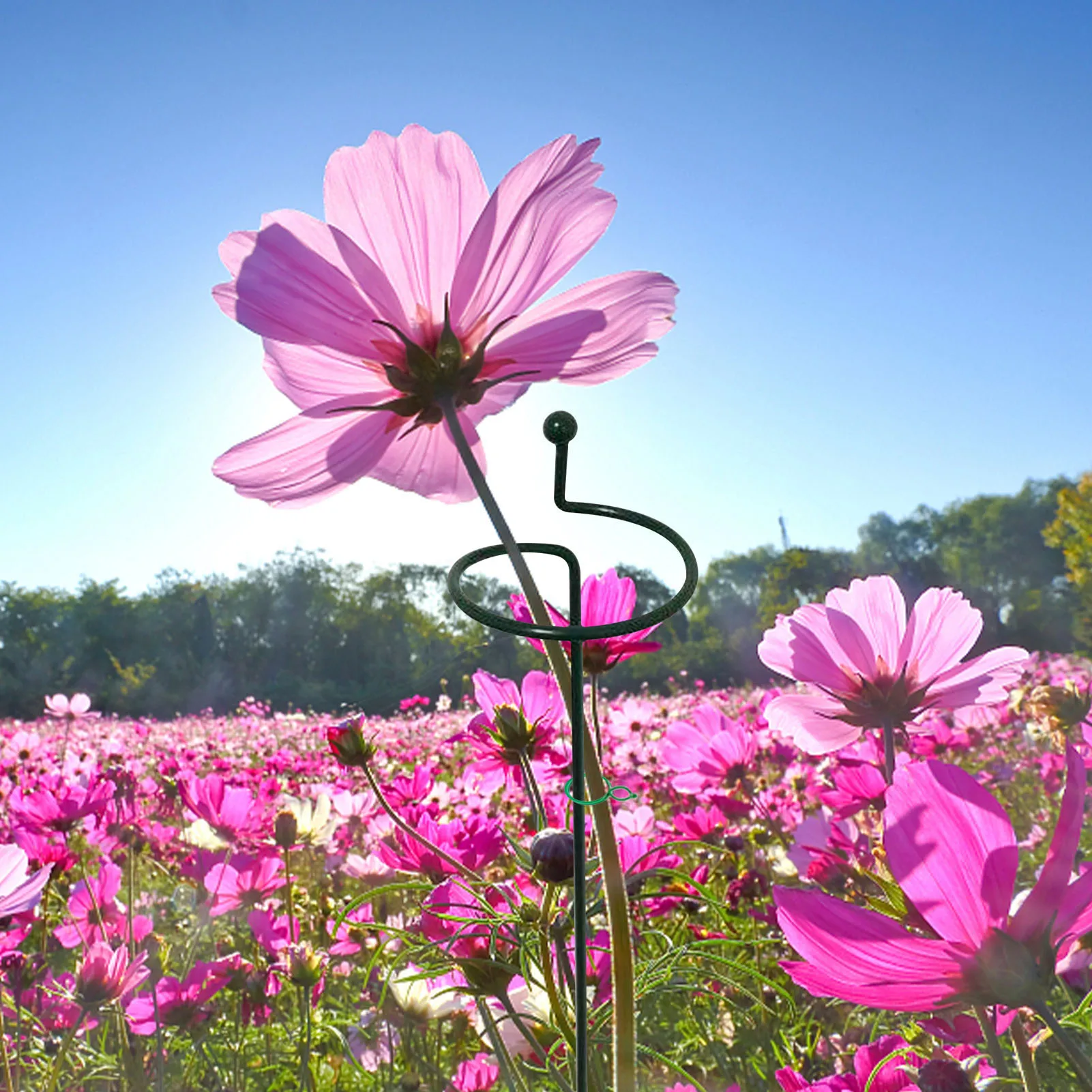 

5 шт., садовые кольца для поддержки растений