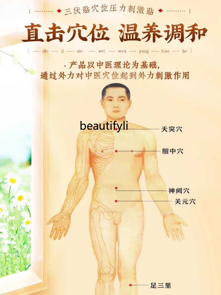 Sanfu пластырь для бронхов акуточечный взрослых Moxibustion