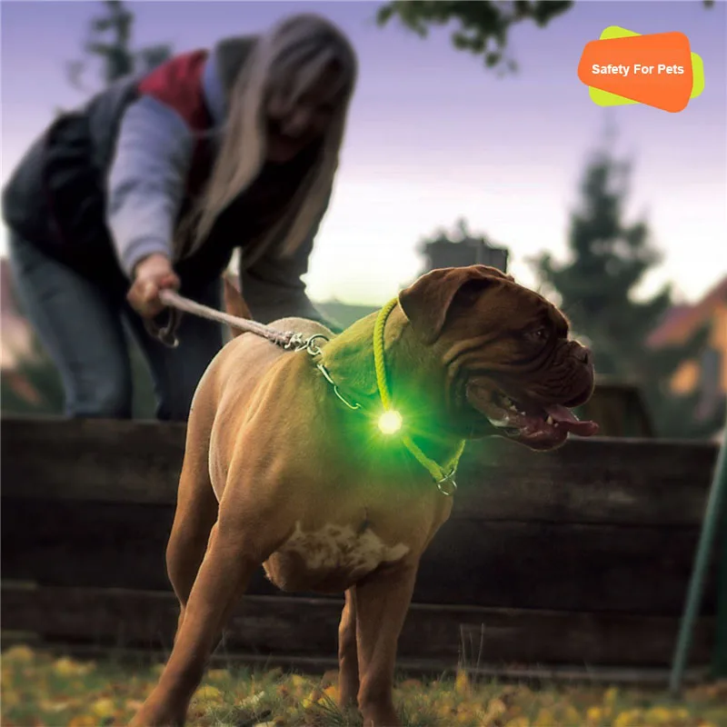 

Dog Light Night Safety Dog Pendant Waterproof Dog Collar Pendant Flashing Led Usb Rechargeable Pet Light Safe Glow For Dog Leash