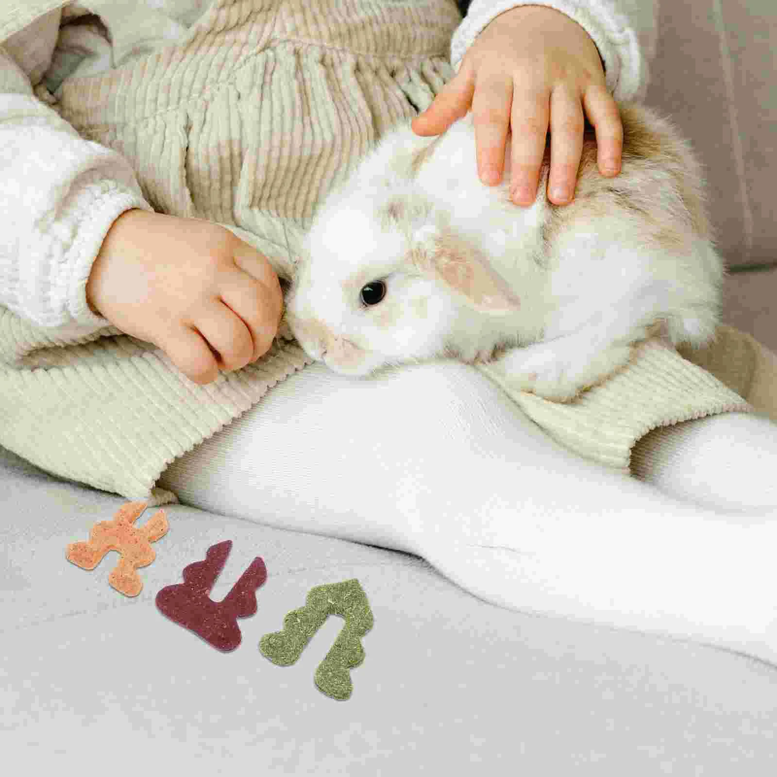 Кролики закуски жевательная игрушка для кроликов морская свинка лакомства