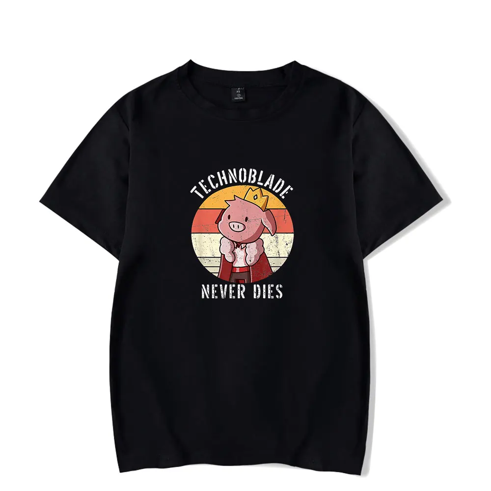 Худи Ranboo Technoblade Merch свитшот для женщин/мужчин худи футболка и брюки 102 - купить по