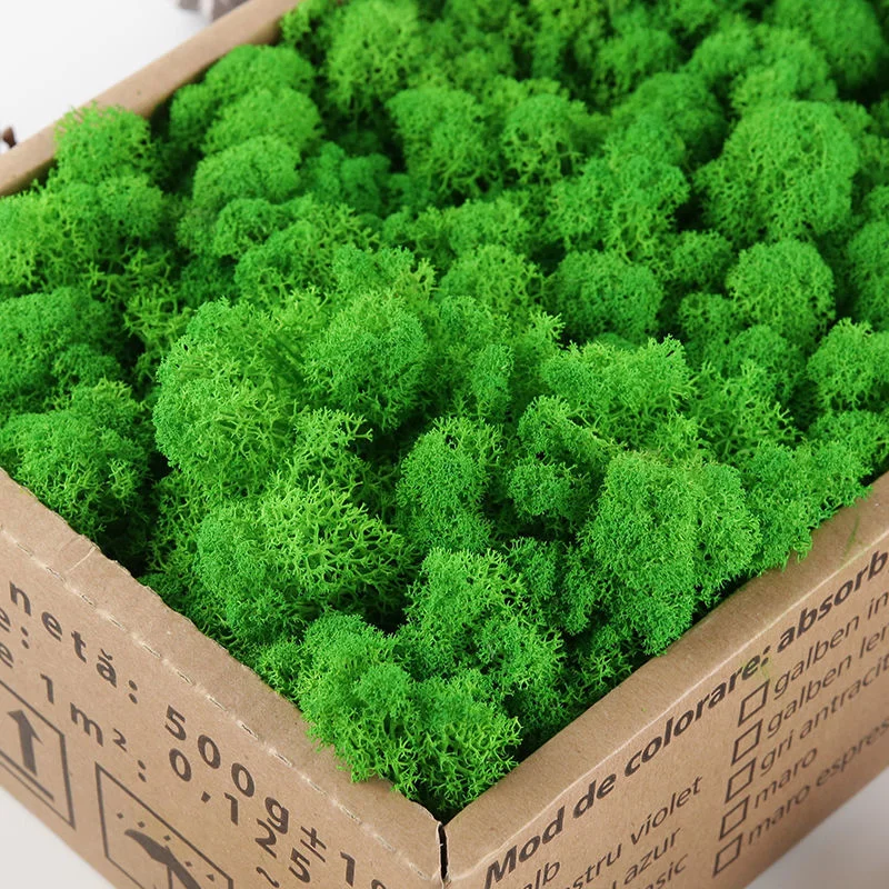 

Artificial Moss fake Plant Eternal Life Moss Material Micro Landscape DIY Home Living Room Festival Wedding Decoration 20g/50g