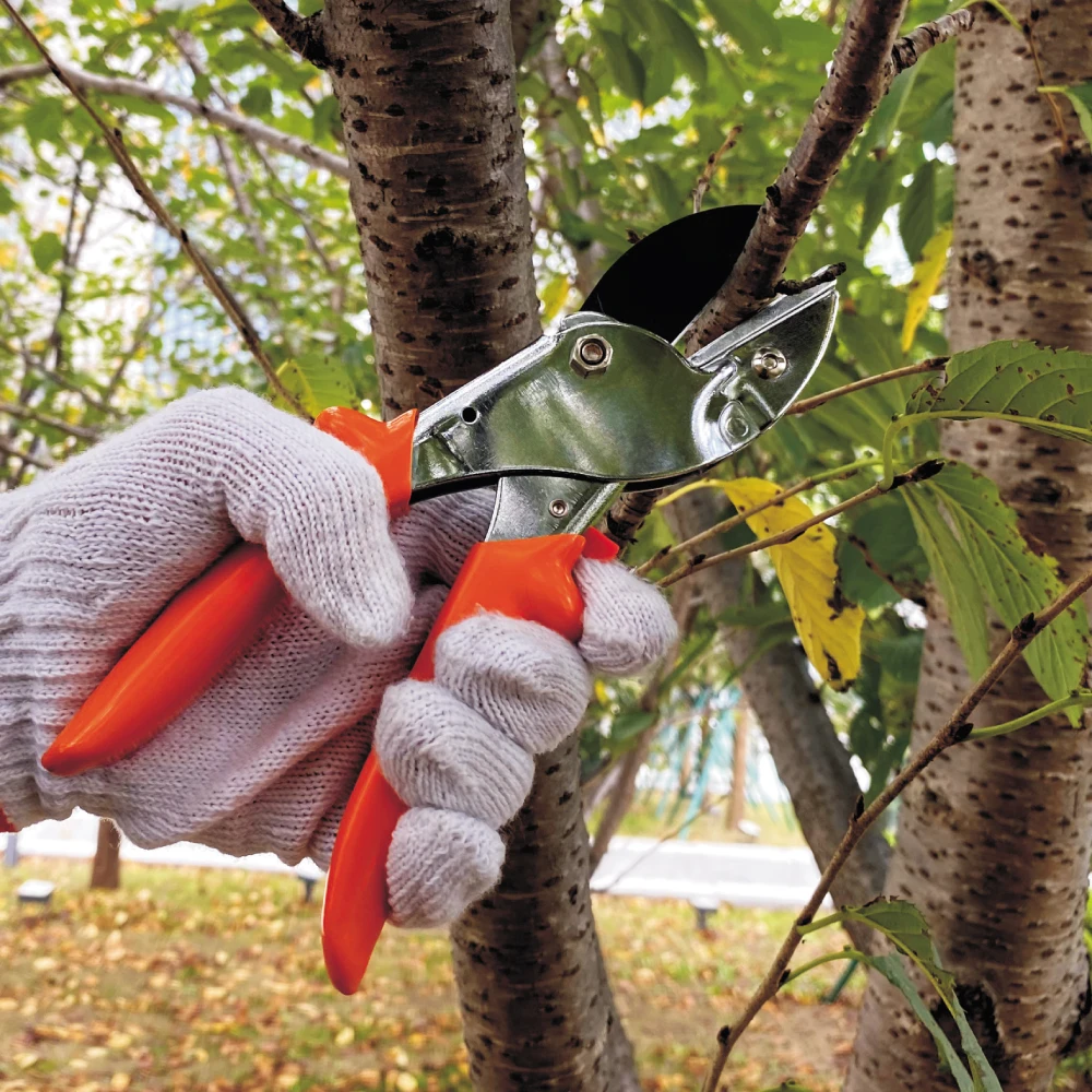 Pruning scissor branch Garden pruner garden Floral secateurs shear