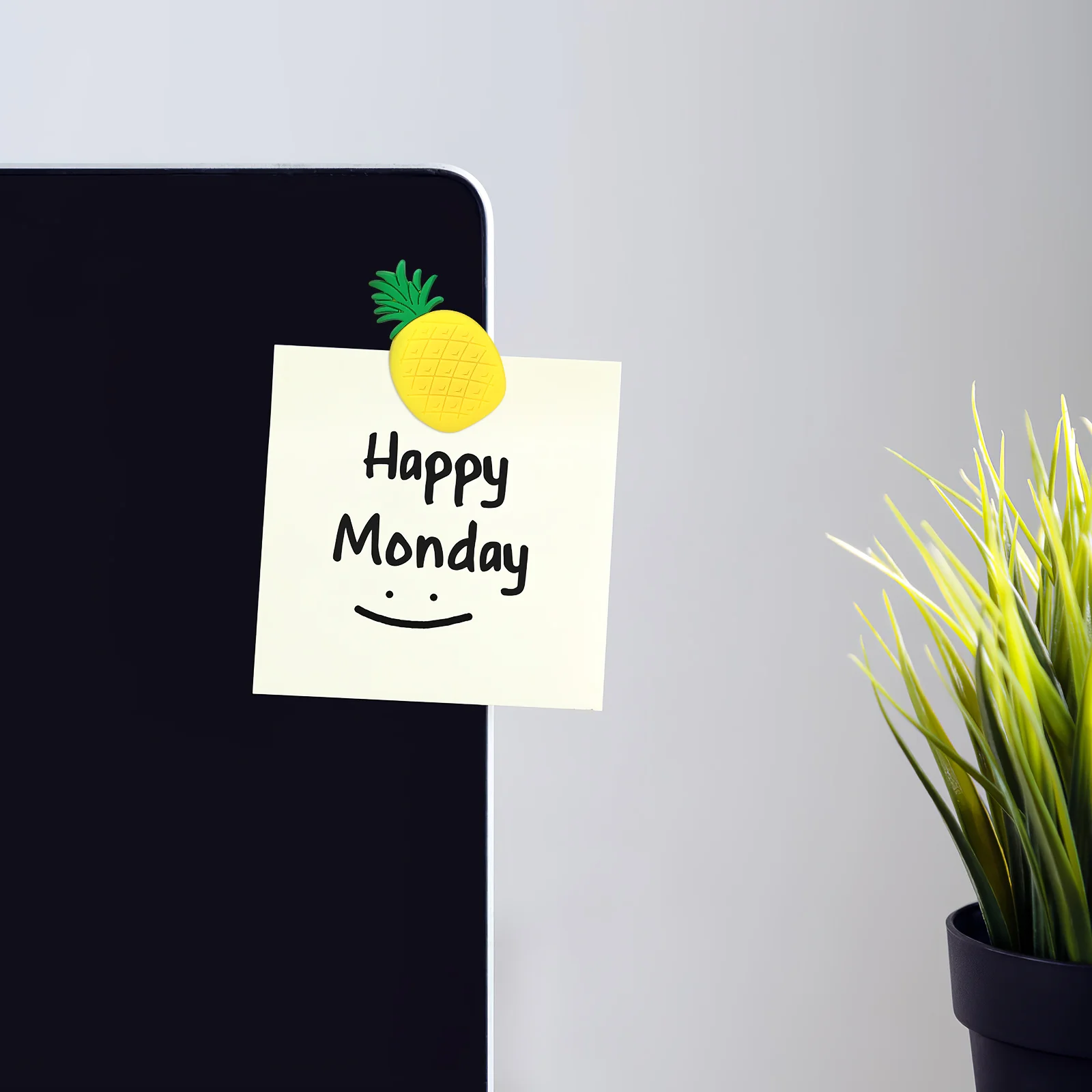 Магниты на холодильник ананас резиновые 10 шт |