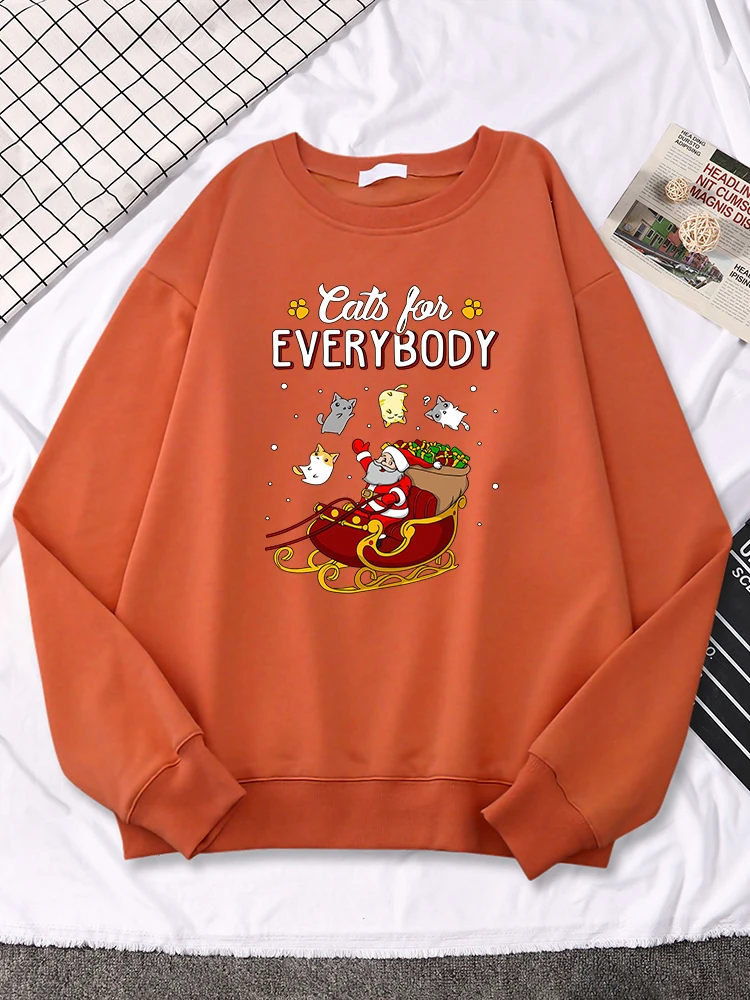 

Женская винтажная Толстовка с принтом кошки для всех