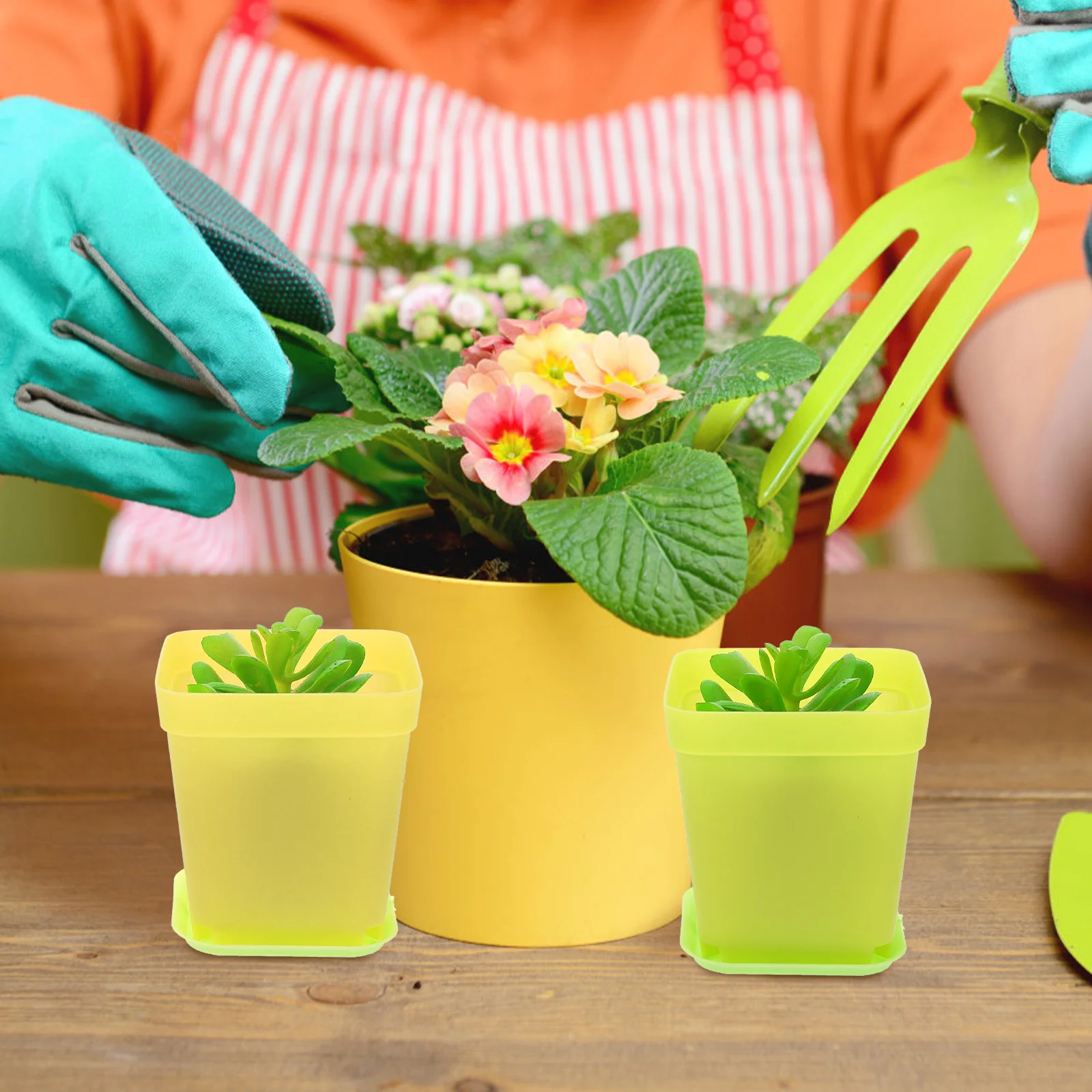 

18 Sets Cactus Mini Succulent Planter Plants Nursery Flower Pots Plastic Planters