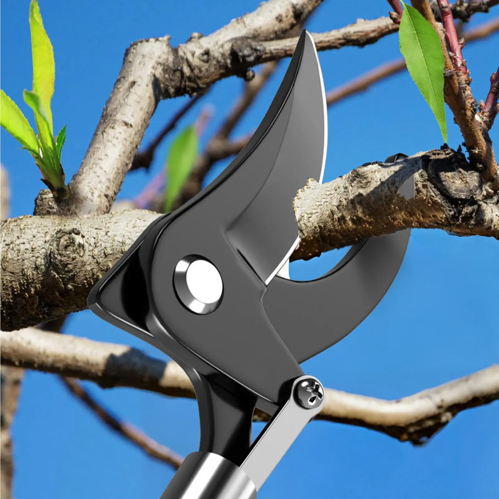 

Садовые ножницы VAHIGCY для сбора фруктов