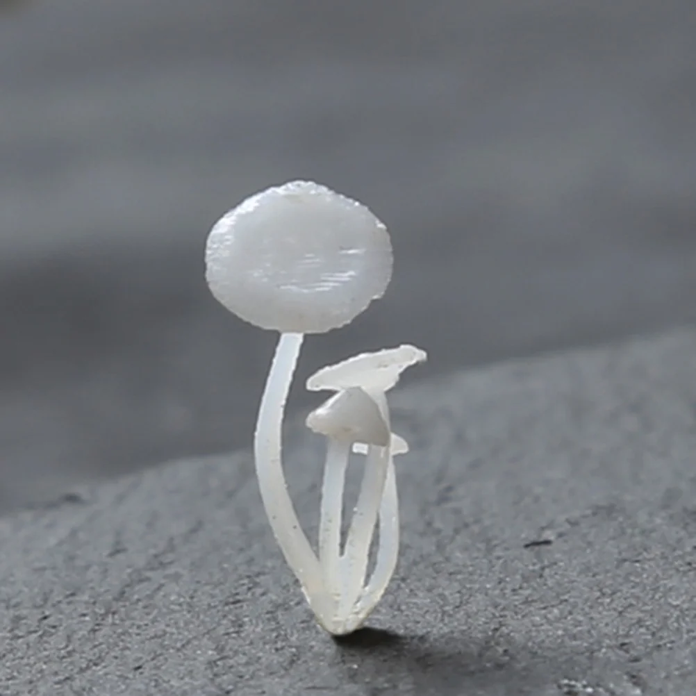 

Resin Mushroom Mold Filler Miniature Epoxy Molds Casting Mini Bonsai Crystal Jewelry Ornament Mould Mushroomsornaments Garden