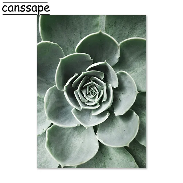 

Настенная картина Canssape "Растения"