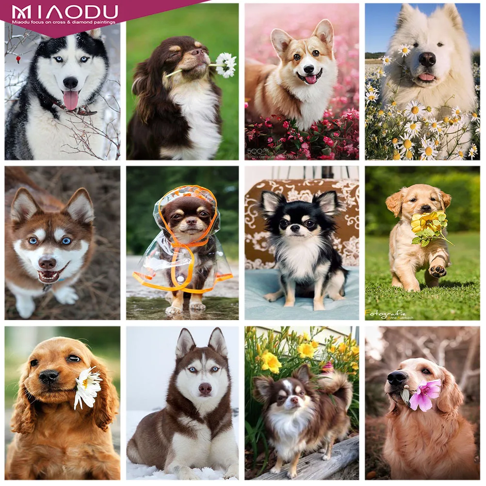 Милый щенок чихуахуа Хаски Алмазная вышивка крестиком наборы 5D алмазная