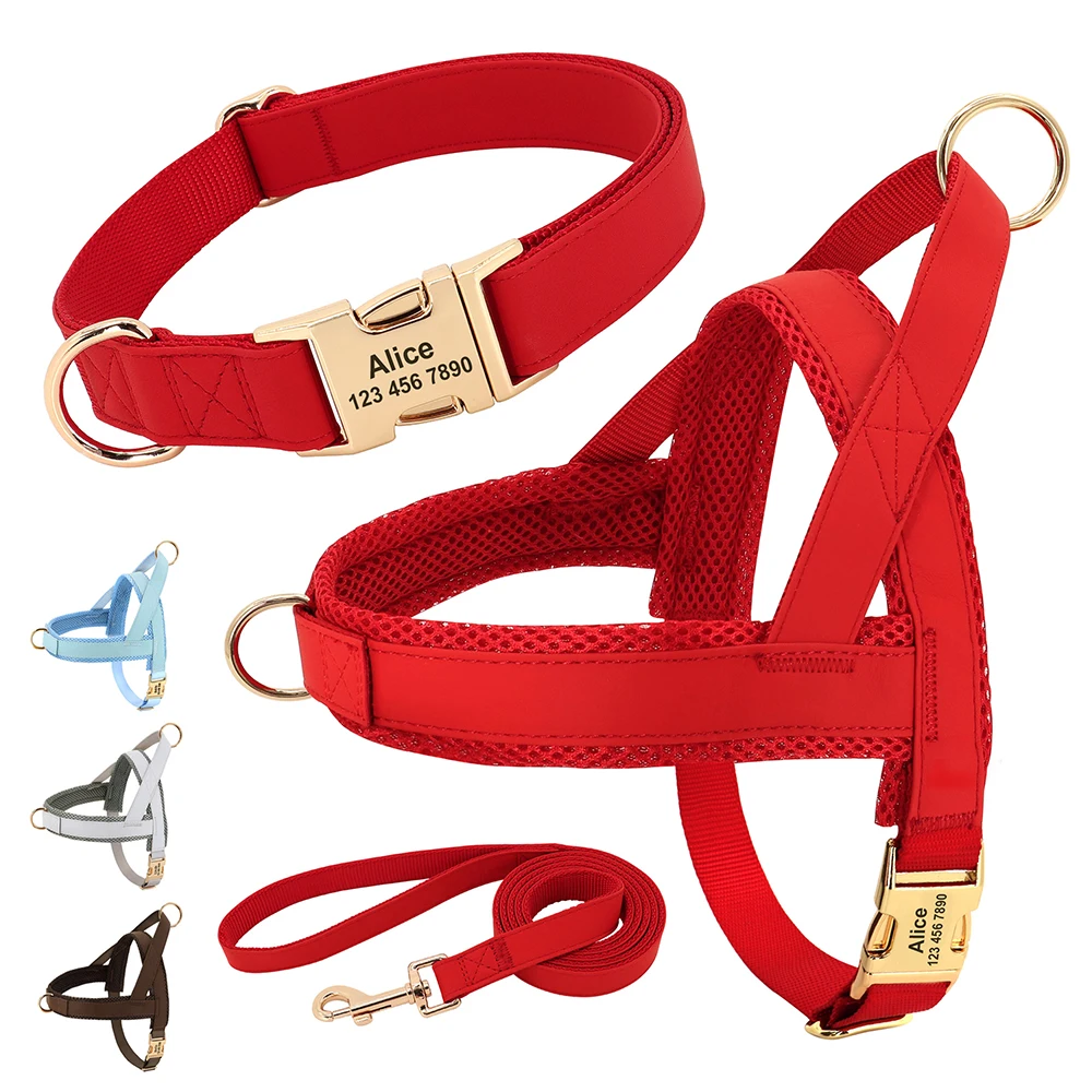 personalized dog harness and leash