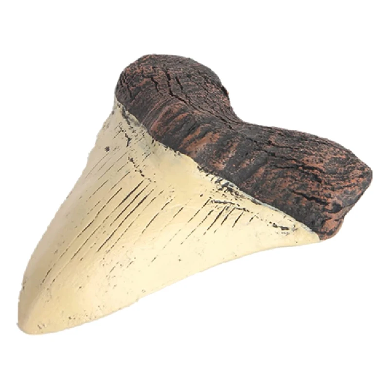 

Реплика Megalodon Shark ископаемый зуб Giant Shark Tooth Megalodon